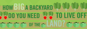 backyard farm image